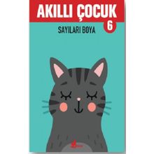 Sayıları Boya - Akıllı Çocuk 6 Kitap