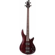 Schecter C-4 SGR Bass Gitar