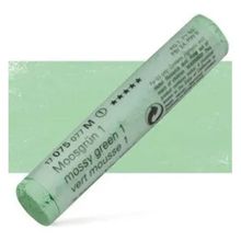 Schmincke 075 M Mossy Green 1 Artist Soft Pastel Boya