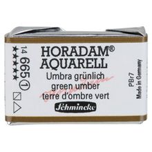 Schmincke Seri 1 665 Green Umber Horadam Aquarell Artist Tam Tablet Sulu Boya