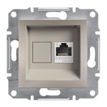 Schneider 3606480728037 Electric Eph4700169 Asfora Bronz Tekli Rj45 Cat6 Utp Telefon Prizi
