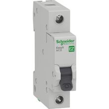 Schneider EZ9F14106 1x6 Amper 1 Fazlı B Tipi Otomatik Sigorta
