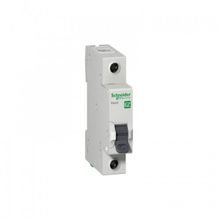 Schneider EZ9F43125 Easy9 Serisi 1x25A C Tipi 3Ka Otomatik Sigorta
