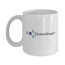 Schrödinger Kupa Bardak