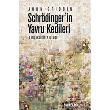SCHRÖDİNGER'İN YAVRU KEDILERI GERÇEKLİĞİN PEŞİNDE - JOHN GRIBBIN