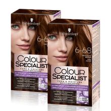 Schwarzkopf Colour Specialist 6-68 Kızıl Kahve x2 Saç Boyası