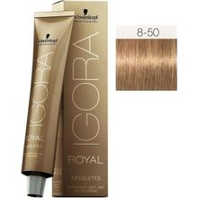 Schwarzkopf Igora Royal Absolutes 8-50 Açık Kumral-Doğal Altın Saç Boyası