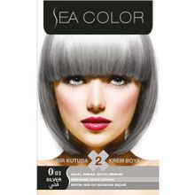 Sea Color 0.01 Füme Gri 2'li Saç Boyası