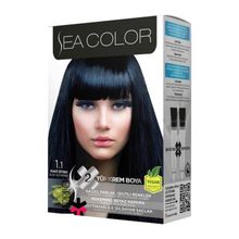 Sea Color 1.1 Mavi Siyah 2 Adet Saç Boyası+Tarak-Fırça