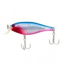 Sea Horse 8.8 cm 14 16.5 gr Shad Rap Shine