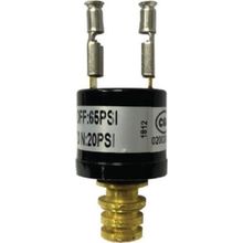 Seaflo 65 Psi Hidrofor Otomatiği