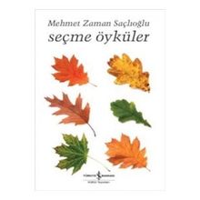 Seçme Öyküler - Faik Baysal