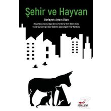 Şehir Ve Hayvan - Hülya Yalçın