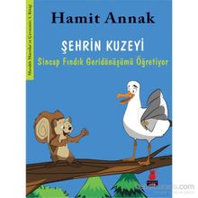 Şehrin Kuzeyi Sincap Fındık Geridönüşümü Öğretiyor - Hamit Annak