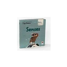 Senses - Baby University First Concepts Stories 2 Sincap Kitap