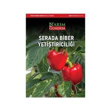 Serada Biber Yetiştiriciliği - Komisyon