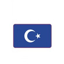 SEVENKARDEŞLER CG ŞEFFAF MAVİ BAYRAK FAR FİLMİ
