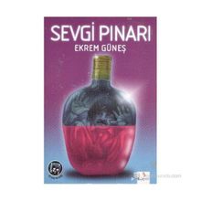 Sevgi Pınarı - Ekrem Güneş