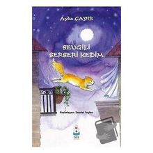 Sevgili Serseri Kedim-Luna Yayınları