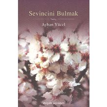 Sevincini Bulmak - Ayhan Yücel