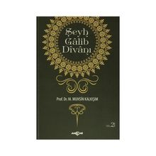 Şeyh Galib Divanı - Muhsin Kalkışım