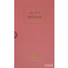 Şeyh Galib Divanı - Naci Okcu