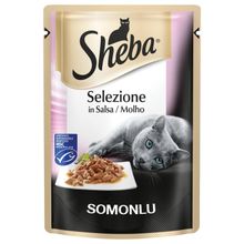 Sheba Pouch 85 gr Sos İçinde Somon Balıklı Yetişkin Kedi Konservesi