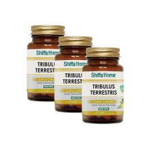 Shiffa Home Tribulus Terrestris Çoban Çökerten 3x60 Kapsül