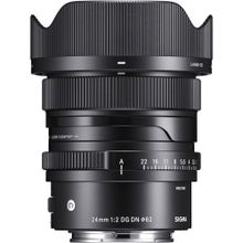 Sigma 24-70 mm F-2.8 DG DN Art Sony E Lens