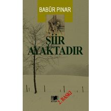 Şiir Ayaktadır - Babür Pınar