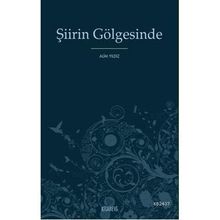 ŞİİRİN GÖLGESİNDE - ALIM YILDIZ