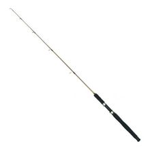 Silver Star Mustang 5-10 Lb 2 Parça 1.55 mt Dolgu Kamış