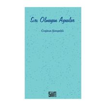 Sırı Olmayan Aynalar - Coşkun Şimşekli