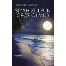 Siyah Zülfün Gece Olmuş - Necmettin Şahinler