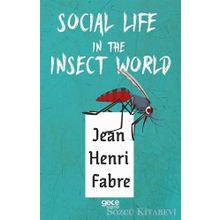 Social Life in The Insect World - Jean Henri Fabre