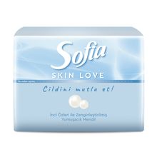 Sofia Skin Love 75'li Mini Mendil