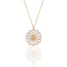 Söğütlü Silver SGTL11144 Gümüş Rose Zirkon Taşlı Papatya Kolye