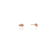Söğütlü Silver SGTL7930 925 Ayar Gümüş Rose Zirkon Taşlı Mini Pırlanta Modeli Balık Küpe