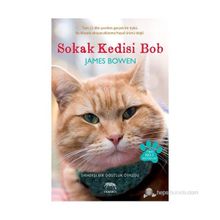 SOKAK KEDISI BOB SIRADIŞI BIR DOSTLUK ÖYKÜSÜ - JAMES BOWEN