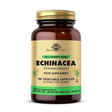 Solgar Echinacea 520 mg 100 Kapsül