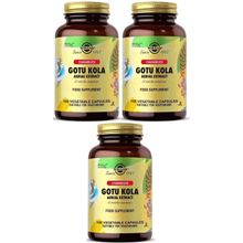 Solgar Gotu Kola 3x100 Kapsül
