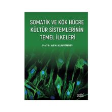Somatik ve Kök Hücre Kültür Sistemlerinin Temel İlkeleri