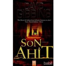 SON AHIT - DAVID GIBBINS