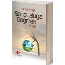 Sonsuzluğa Doğmak - Ali Sarıkaya