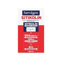 Sorvagen Sitikolin DHA Omega 3 ve B12 Takviye Edici Gıda 30 Kapsül