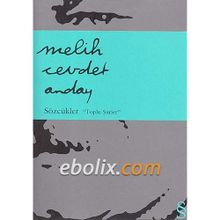 Sözcükler Bütün Şiirleri - Melih Cevdet Anday