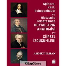 Spinoza, Kant, Schopenhauer ve Nietzsche Felsefesinde Duyguların Anatomisi ve Şiirsel İzdüşümleri - Ahmet İlhan