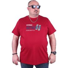 Starbattal 23134 Bordo Büyük Beden Erkek T-shirt