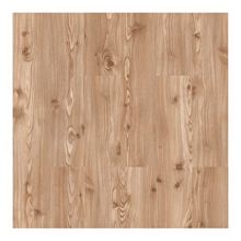 Stepclick Gold Çam Laminant Parke