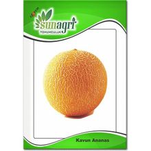 Sunagri Ananas Kavun Meyve Tohumu